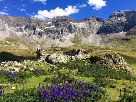 Visit Pyrénées National Park in France | Expedia