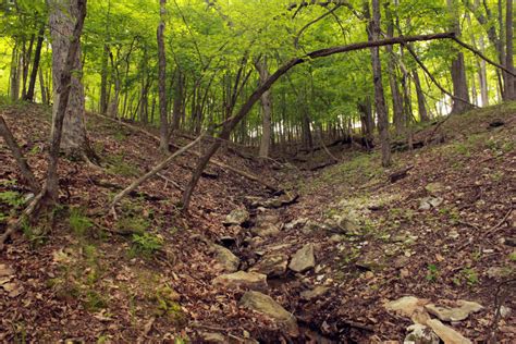 Stream at Cuivre River State Park, Missouri image - Free stock photo ...