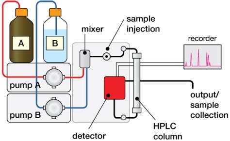 [28+] Schematic Diagram Of Gas-liquid Chromatography - im7 blog