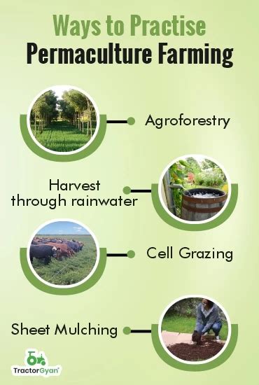 Permaculture Farming: Know about its Principles & Benefits (tg1201)