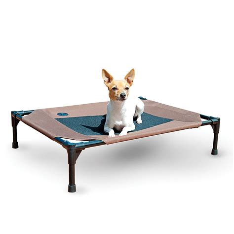 Best Raised Dog Bed: 5 Orthopedic Elevated Dog Beds (2017)