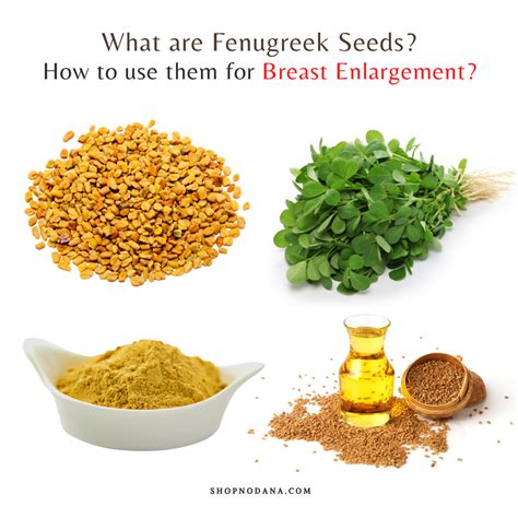 Fenugreek For Breast Enlargement- How To Use Fenugreek Seeds - Shopno Dana