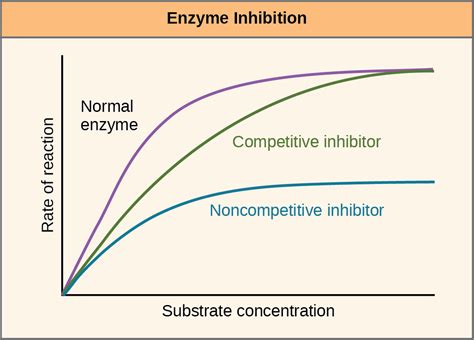 Enzymes Low Temp at Gilbert Johnson blog