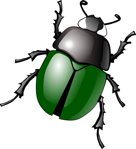 Insect clipart free images 3 – Clipartix