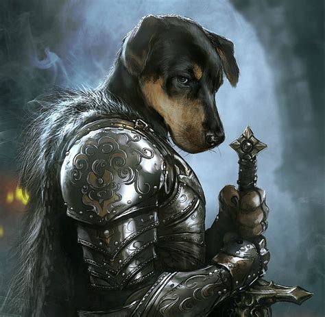 Dog Knight Armor