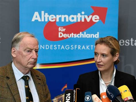 The 'Very Different' Leaders Of Germany's Far-Right AfD Party ...