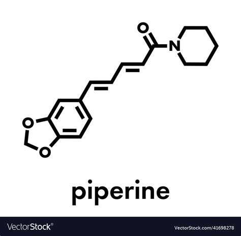 Piperine black pepper molecule responsible Vector Image