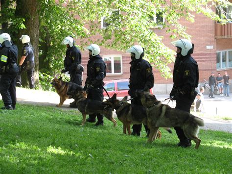 File:Swedish police dogs.jpg - Wikimedia Commons