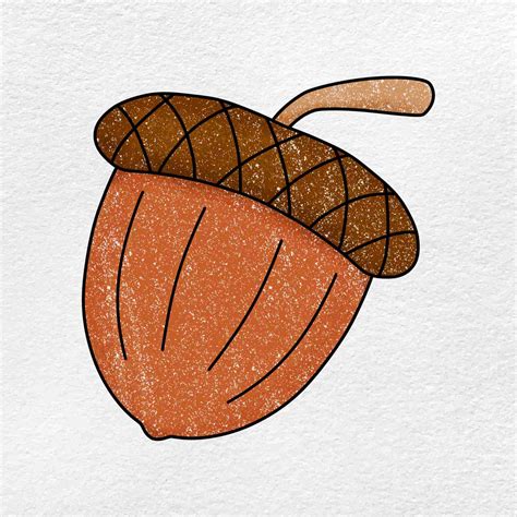 Acorn Drawing Ideas And Tips For Drawing Acorns - vrogue.co