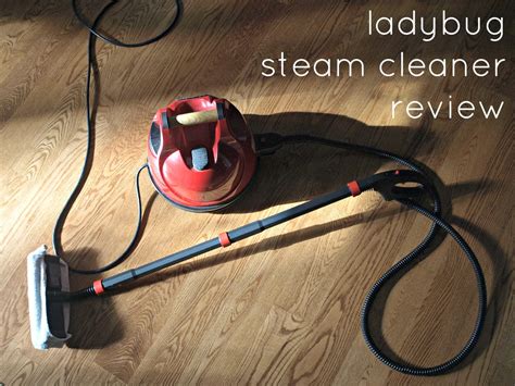 » Lady Bug Steam Cleaner Review