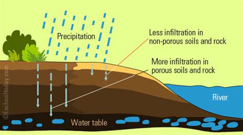 The process of seeping of water into the ground is called: