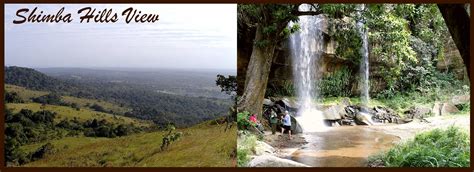 Shimba Hills National Park Day Trip - Explore Coastal Rainforest and Wildlife