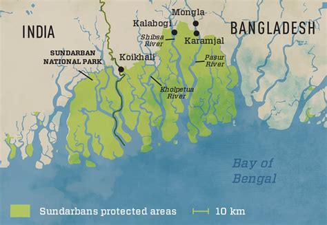 Forest of Tides: The Sundarbans - AramcoWorld