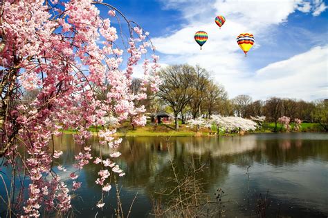 Cherry Blossom Festival 2024 Newark Nj - Mag Marabel