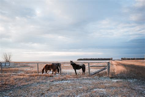 Women on the Rosebud Indian Reservation — TARA SHUPE PHOTOGRAPHY