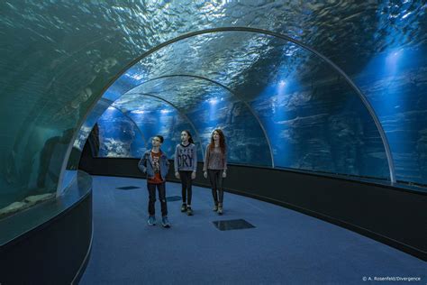 Nausicaá: the largest aquarium in Europe in Boulogne-sur-Mer