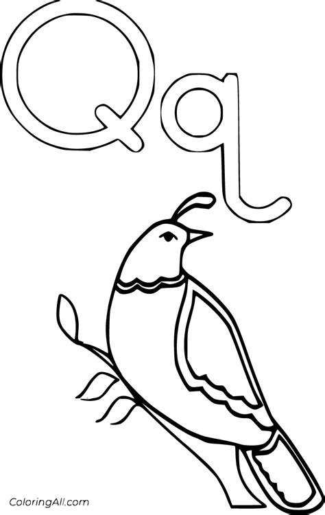 Letter Q Coloring Pages (26 Free Printables) - ColoringAll