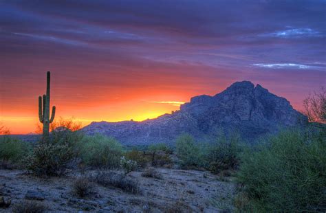 Desert Sunset Photograph by Tam Ryan