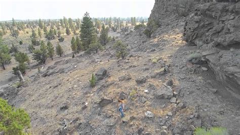 Christmas Valley, Oregon The Lost Forest - YouTube