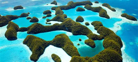 Rich in biodiversity, Palau looks to protect its most precious resource