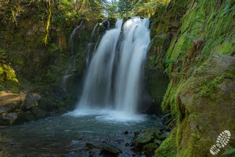 March 2020 – McDowell Creek Falls | Hikes from Home