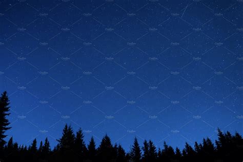 Forest under night sky with stars | Nature Stock Photos ~ Creative Market