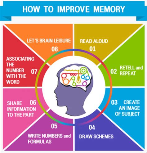 Semantic Memory - The Definitive Guide | Biology Dictionary