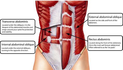 The 14 Best Ab Exercises for a Rock Solid Core | Yuri Elkaim