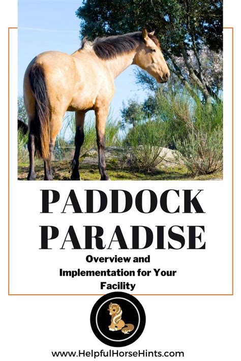 Paddock Paradise: Overview and Implementation | Paddock paradise ...