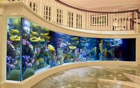 25 Rooms With Stunning Aquariums - Decoholic