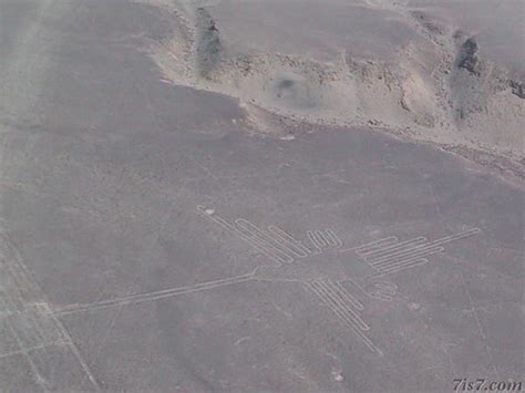 Photo Nazca Lines Hummingbird