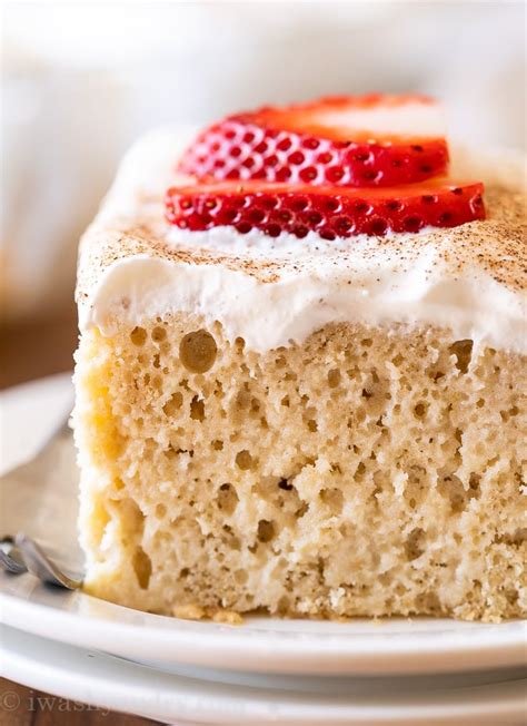 Tres Leches Cake Recipe | I Wash You Dry