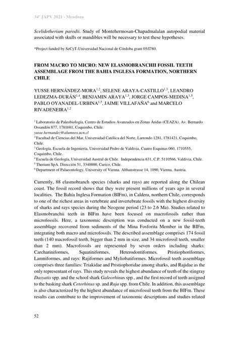 (PDF) FROM MACRO TO MICRO: NEW ELASMOBRANCHII FOSSIL TEETH ASSEMBLAGE ...