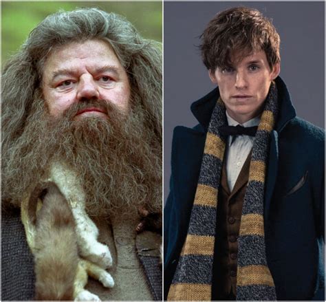 Could Newt Be Hagrid's Father? | Geeks