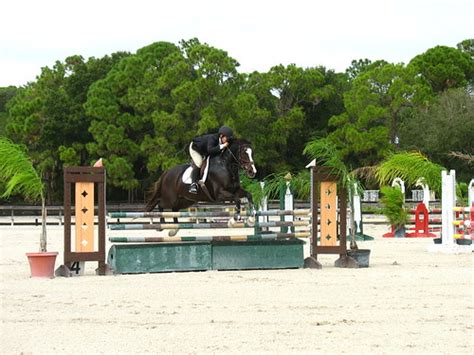 Fox Lea Farm Horse Show, Venice, Florida 11.6.2011 | Flickr