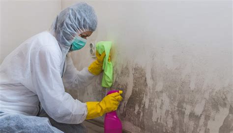 What Does Mold Smell Like? How To Pinpoint the Odor - Pure Environmental