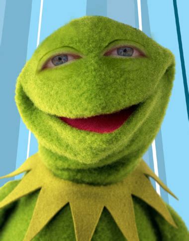 Kermit the Frog with human eyes. Eww. : r/pics