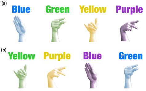 American Sign Language Colors