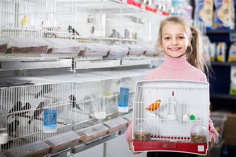 Pet Birds For Kids