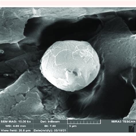 (PDF) Review on Nanotechnology Applications in Nuclear Energy