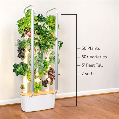 An Honest Review of Gardyn: Does The Indoor Smart Garden Really Work ...