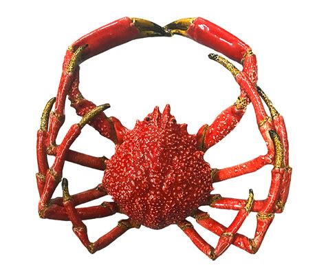 Spider Crab | Red | Large - pinkpear.com.au