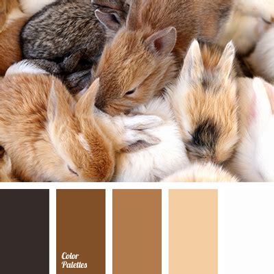 pastel shades of autumn | Page 2 of 3 | Color Palette Ideas