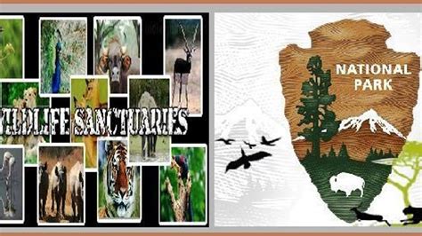 Wild Life Sanctuaries and National Parks