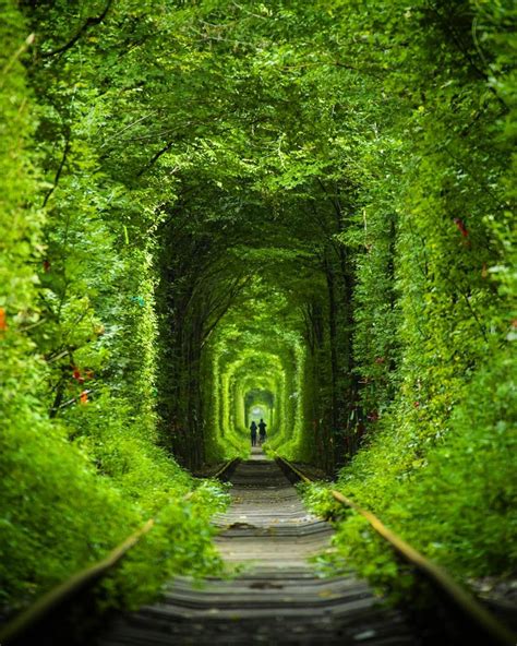 Tunnel of Love . #tunneloflove #love #ukraine #europe #exploreeurope #green #infinity #couple # ...