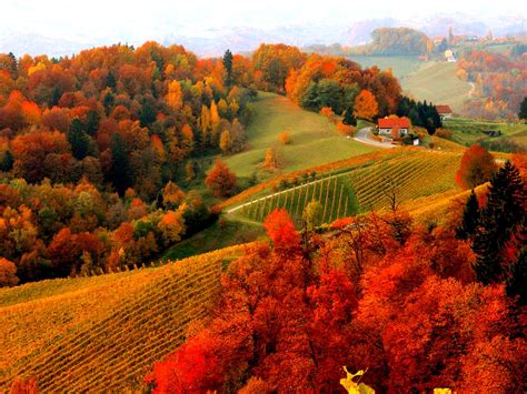 an autumn scene with colorful trees in the foreground and a farm on the ...