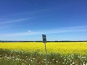 Category:Road signs in Prince Edward Island - Wikimedia Commons