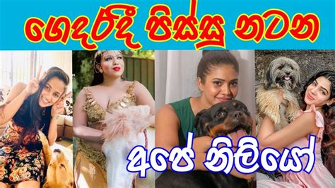 sri lanka charter famous actress - sl niliyo - sl actress hot - hot tiktok video - liya news ...