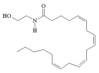 Anandamide - Molecule of the Month September 2009 - HTML-only version