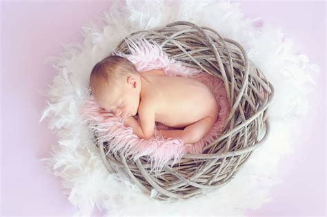 baby, pink, nest, sleeping, sleeping baby, baby girl, child, newborn ...